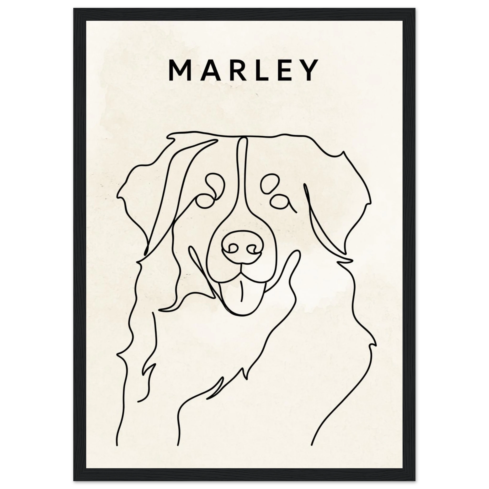 37d29d08-32a0-4e9b-8253-8fa10bc84f6f