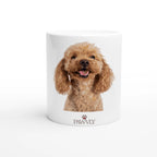 92c3a2fe-76a6-4105-9f41-c7b39ca37357