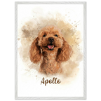 95a7ce74-d42c-43c0-a838-4b99b7b8a5f8