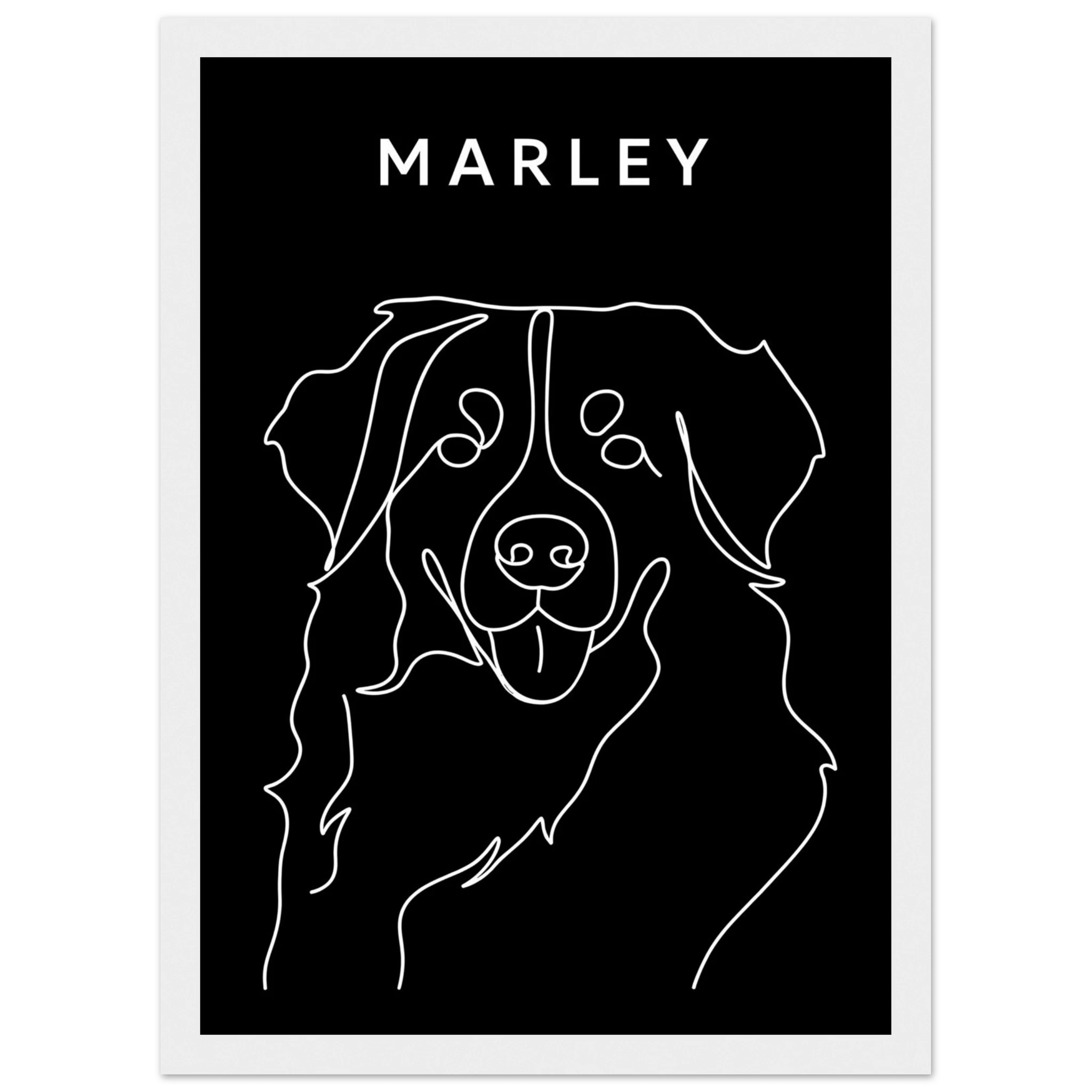 97695985-6307-4d9c-a007-78120d1e0b17