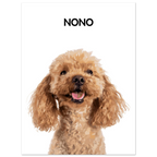 97f4040f-7fbe-47bd-bdeb-b78779a6c63f