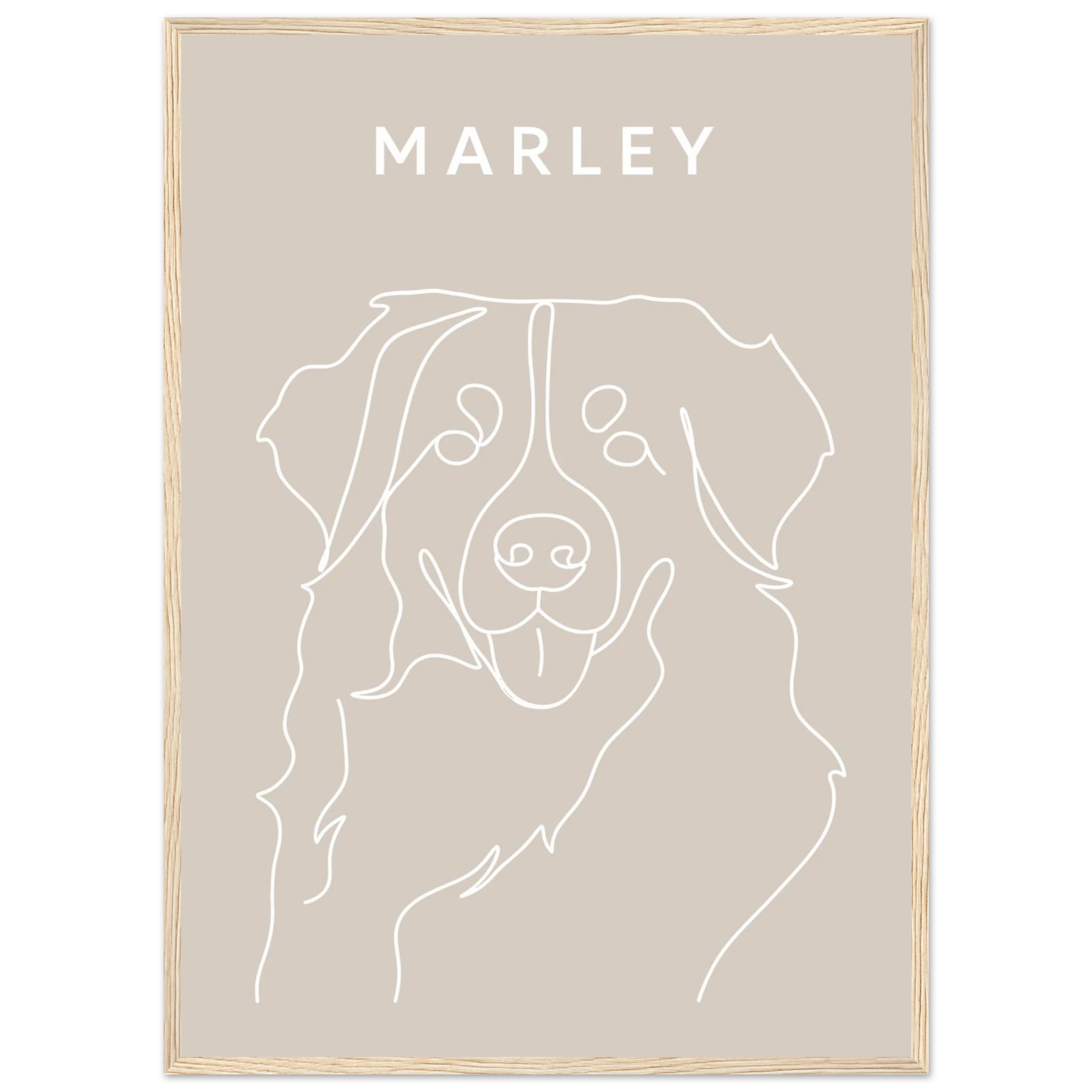 9bc8536c-0563-4bed-8d7c-6e28044abdaf