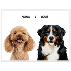 aafcbb7a-082f-4cdc-a2eb-e9f8d4aff395